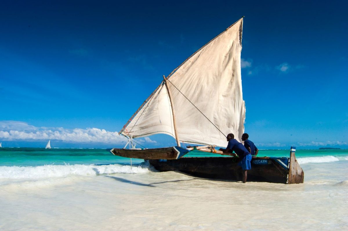 Zanzibar pièges